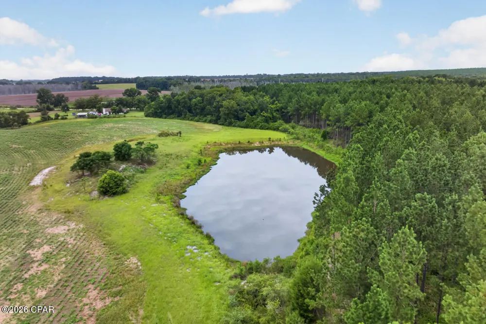 1279 Gavin Road Bonifay, FL 32425