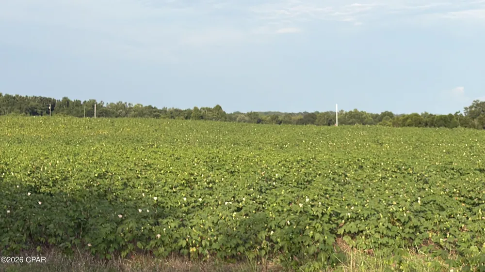 1279 Gavin Road Bonifay, FL 32425