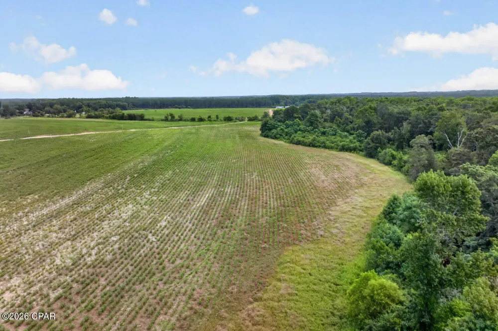 1279 Gavin Road Bonifay, FL 32425