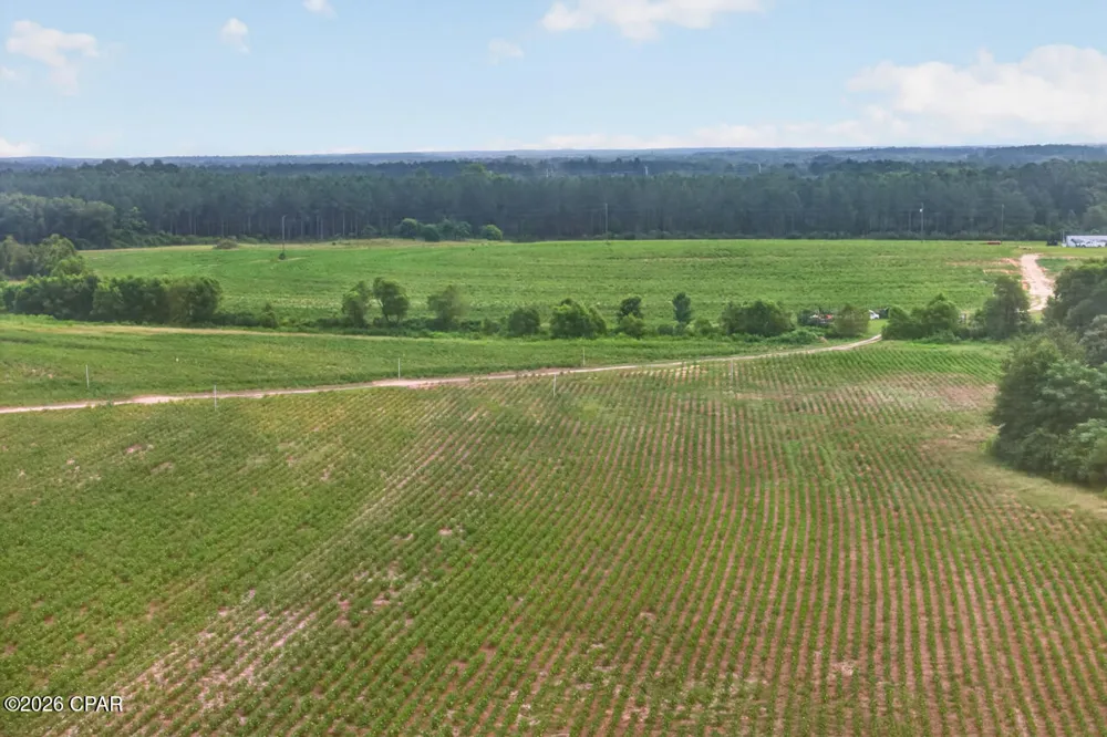 1279 Gavin Road Bonifay, FL 32425