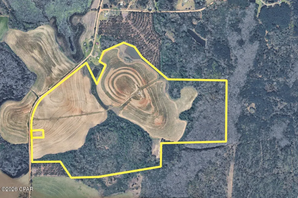 1279 Gavin Road Bonifay, FL 32425