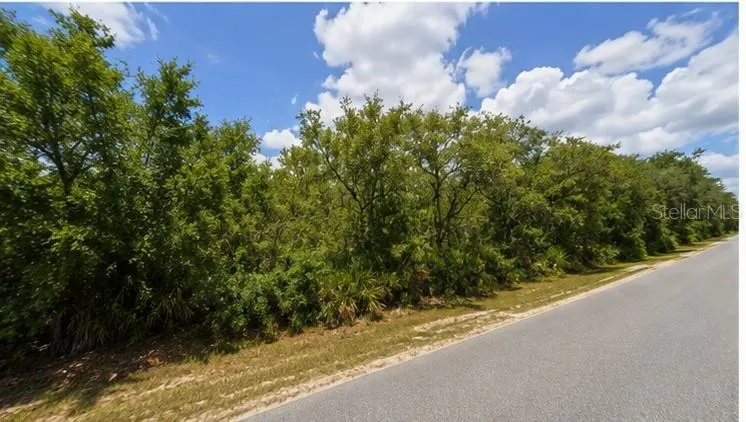 00 COUNTRY ROAD Eustis, FL 32726