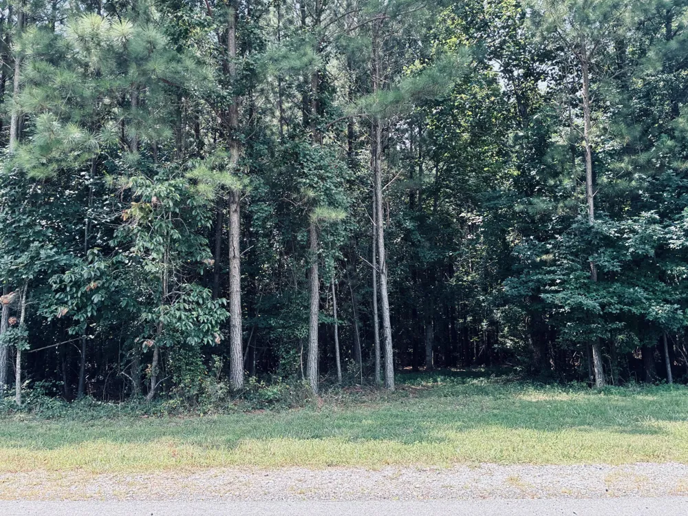 395 Volunteer Street Jasper, TN 37347