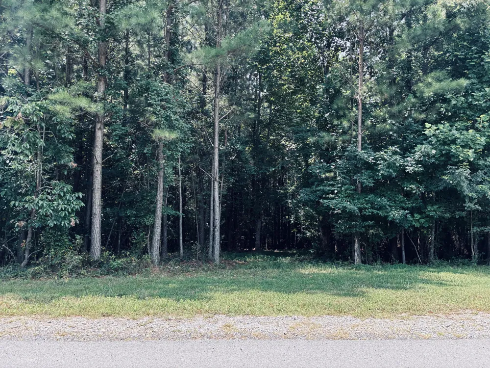 395 Volunteer Street Jasper, TN 37347