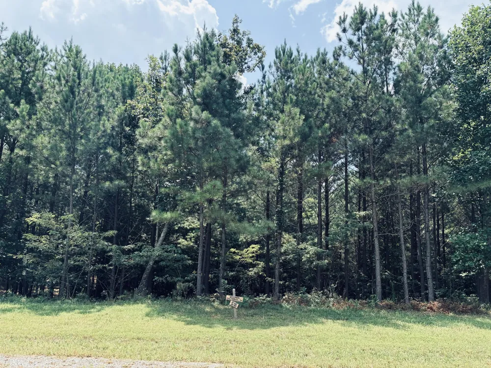 395 Volunteer Street Jasper, TN 37347