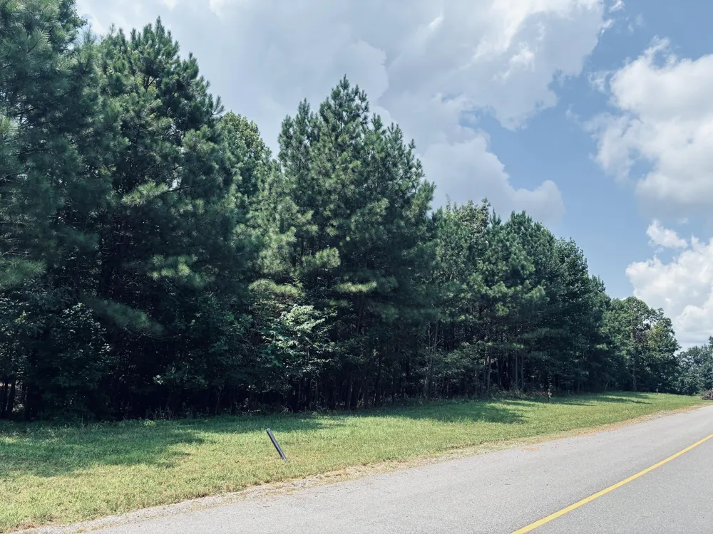 395 Volunteer Street Jasper, TN 37347