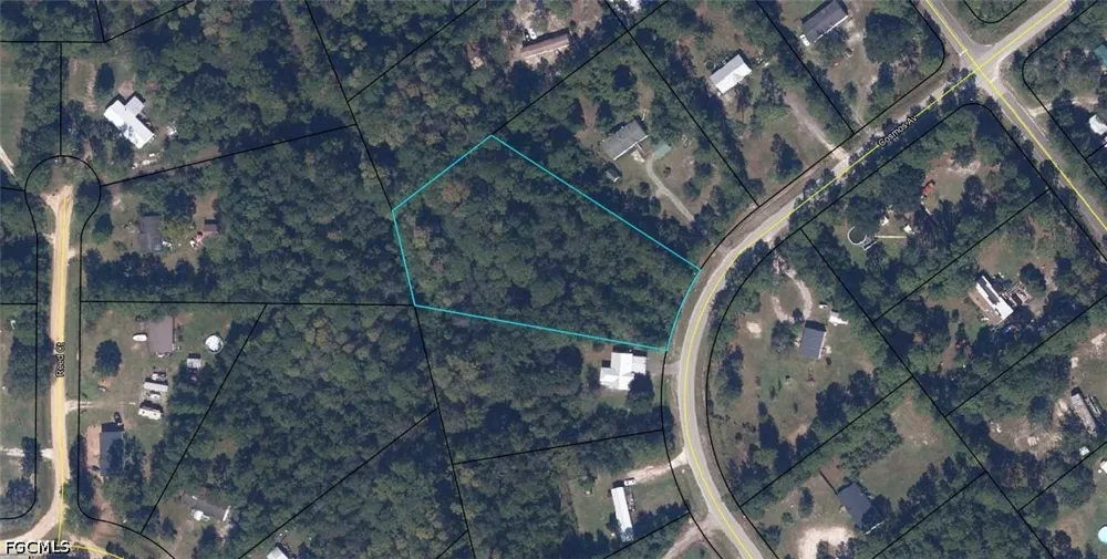 Cosmos Avenue Middleburg, FL 32068