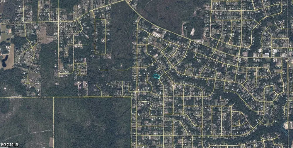 Cosmos Avenue Middleburg, FL 32068