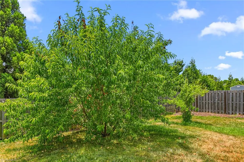 6017 Stone Valley Way Greensboro, NC 27455