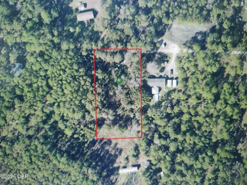 4650 Herin Drive New Smyrna Beach, FL 32168