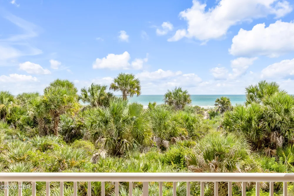 255 Minorca Beach Way #205 New Smyrna Beach, FL 32169