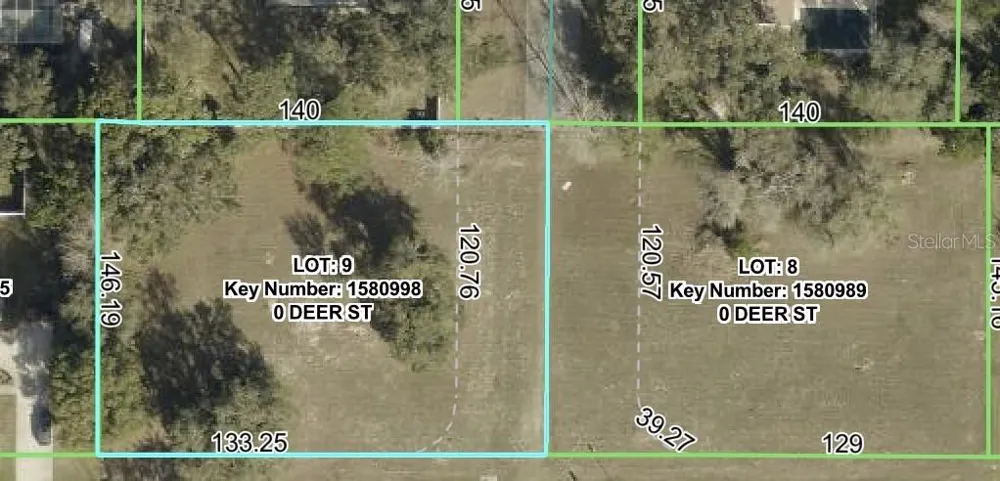 lot 9 DEER STREET Spring Hill, FL 34608