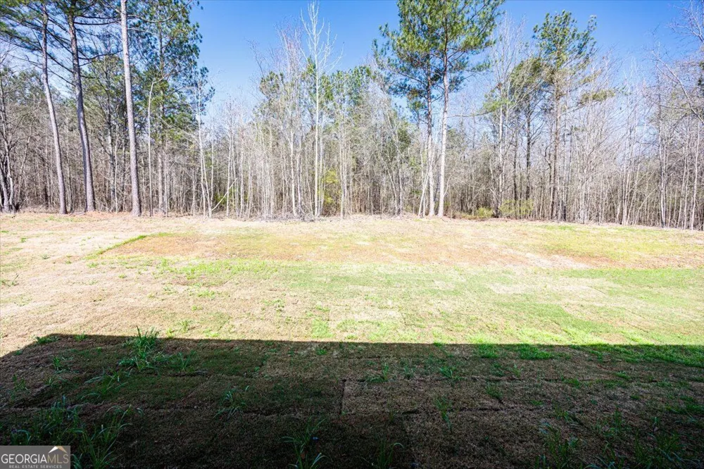 118 Allan Green DR Gray, GA 31032