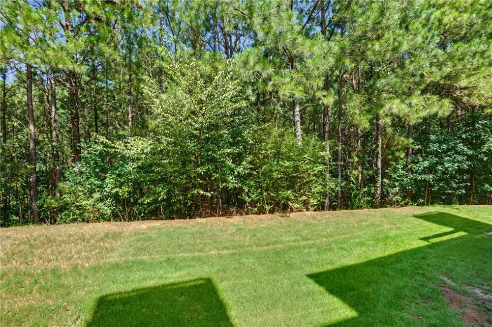 219 Stone Park Drive Woodstock, GA 30188