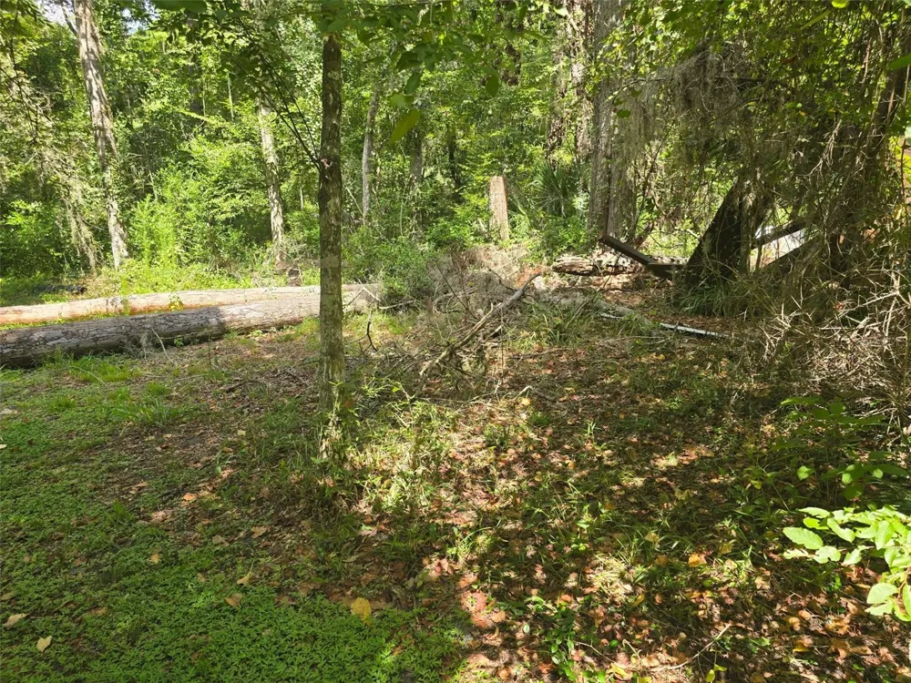 TBD NW SPRING HOLLOW BOULEVARD Lake City, FL 32055