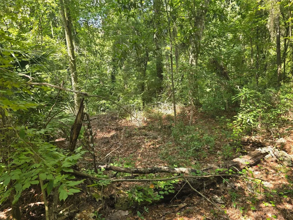 TBD NW SPRING HOLLOW BOULEVARD Lake City, FL 32055