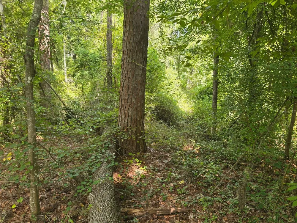 TBD NW SPRING HOLLOW BOULEVARD Lake City, FL 32055