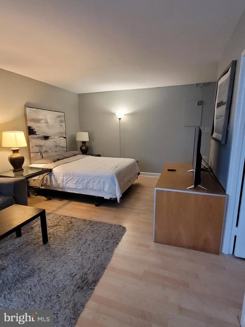 1021 ARLINGTON BOULEVARD #713 Arlington, VA 22209
