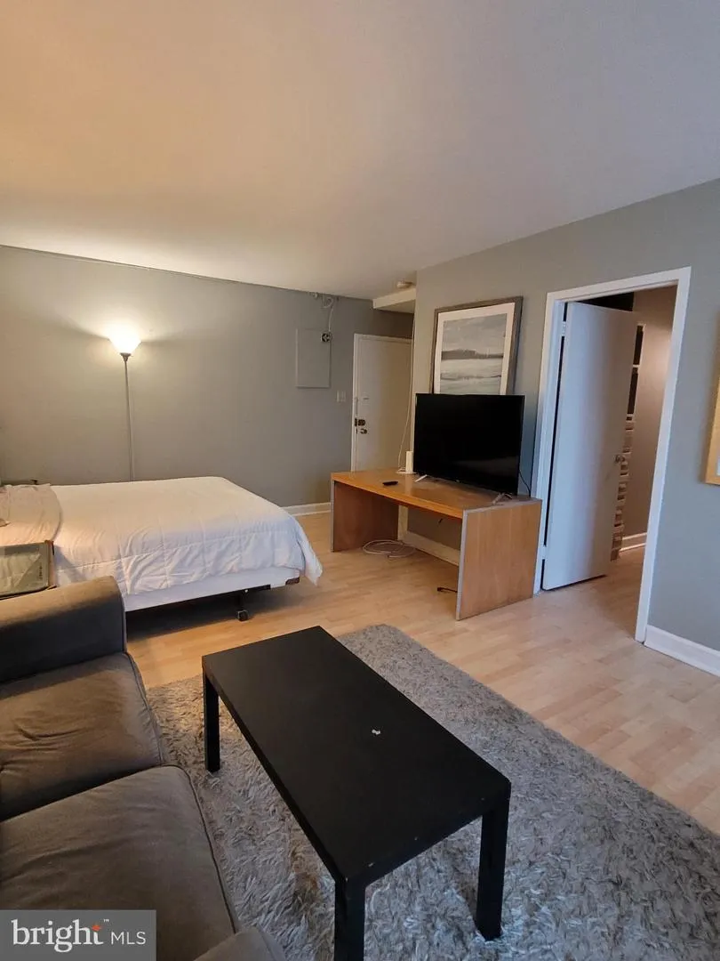 1021 ARLINGTON BOULEVARD #713 Arlington, VA 22209