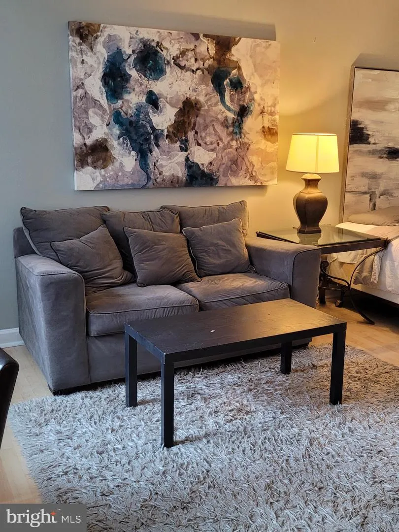 1021 ARLINGTON BOULEVARD #713 Arlington, VA 22209