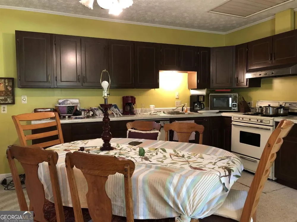 405 Hazel AVE Demorest, GA 30535