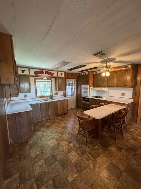 425 3rd Street Buffalo Gap, TX 79508