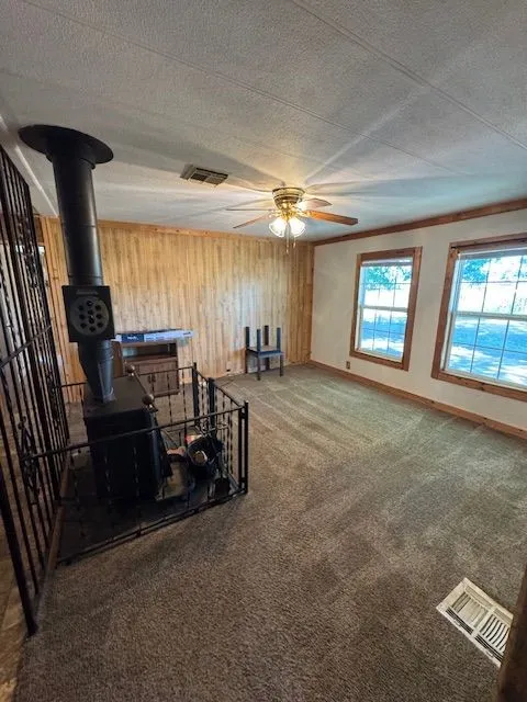 425 3rd Street Buffalo Gap, TX 79508