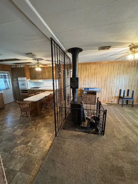 425 3rd Street Buffalo Gap, TX 79508