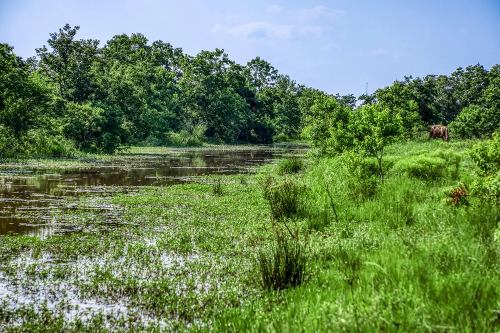 Schmidt Road Waller, TX 77484