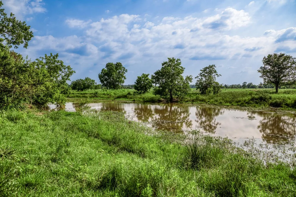Schmidt Road Waller, TX 77484