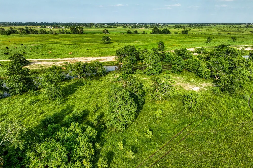 Schmidt Road Waller, TX 77484