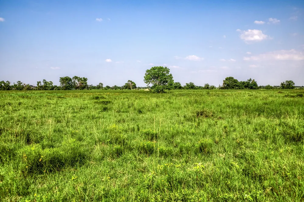 Schmidt Road Waller, TX 77484