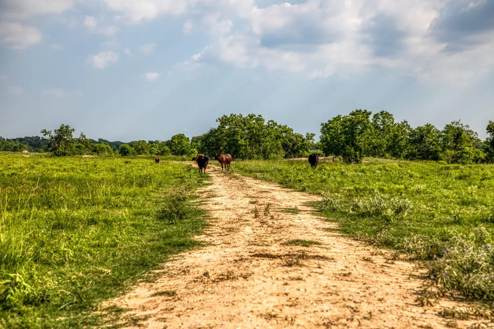 Schmidt Road Waller, TX 77484