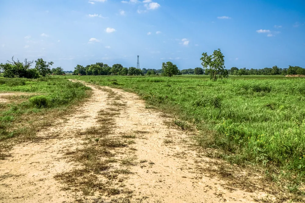 Schmidt Road Waller, TX 77484