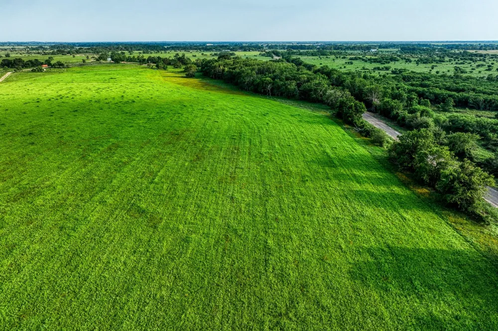 Schmidt Road Waller, TX 77484