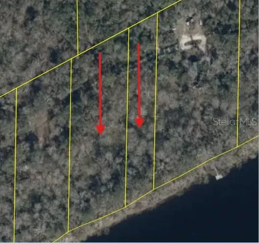 893 NE 930 STREET Cross City, FL 32628