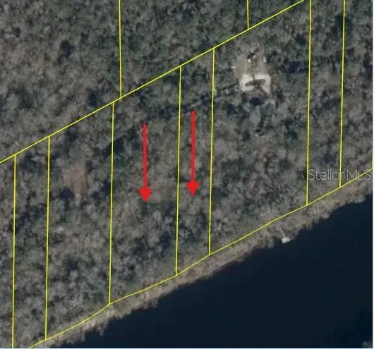 893 NE 930 STREET Cross City, FL 32628