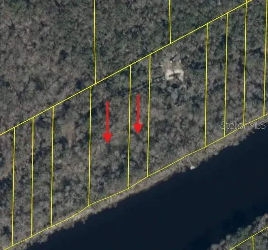 893 NE 930 STREET Cross City, FL 32628