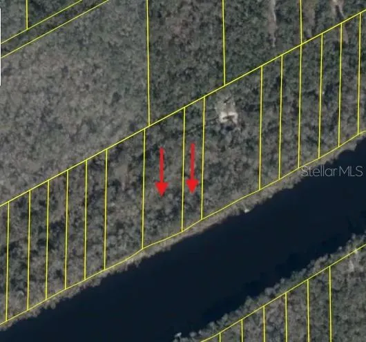 893 NE 930 STREET Cross City, FL 32628