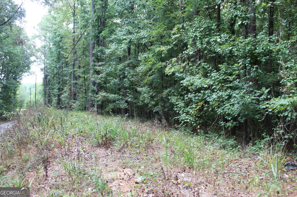 441 N Deshong RD Stone Mountain, GA 30087