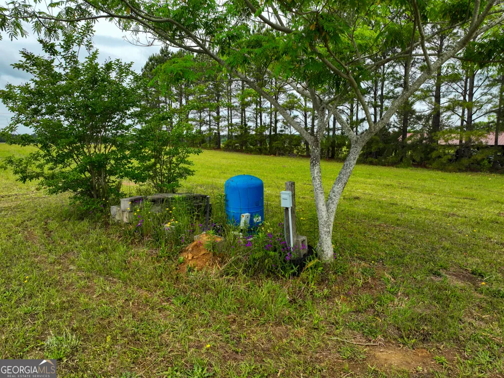 759 Pitts RD Hawkinsville, GA 31036