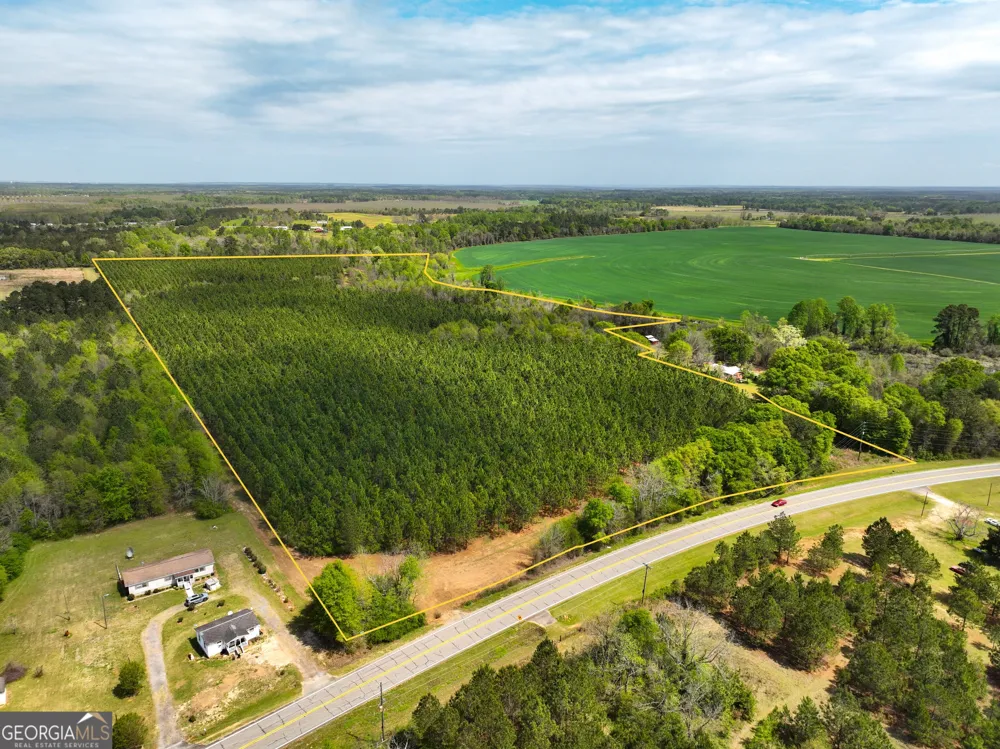 0 Hwy 26 Hawkinsville, GA 31036
