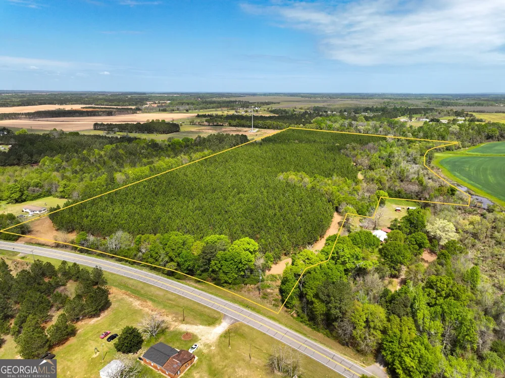 0 Hwy 26 Hawkinsville, GA 31036
