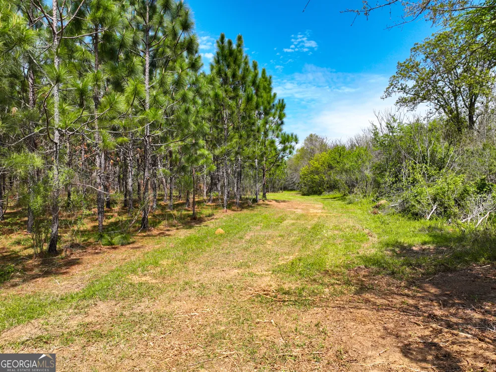0 Hwy 26 Hawkinsville, GA 31036
