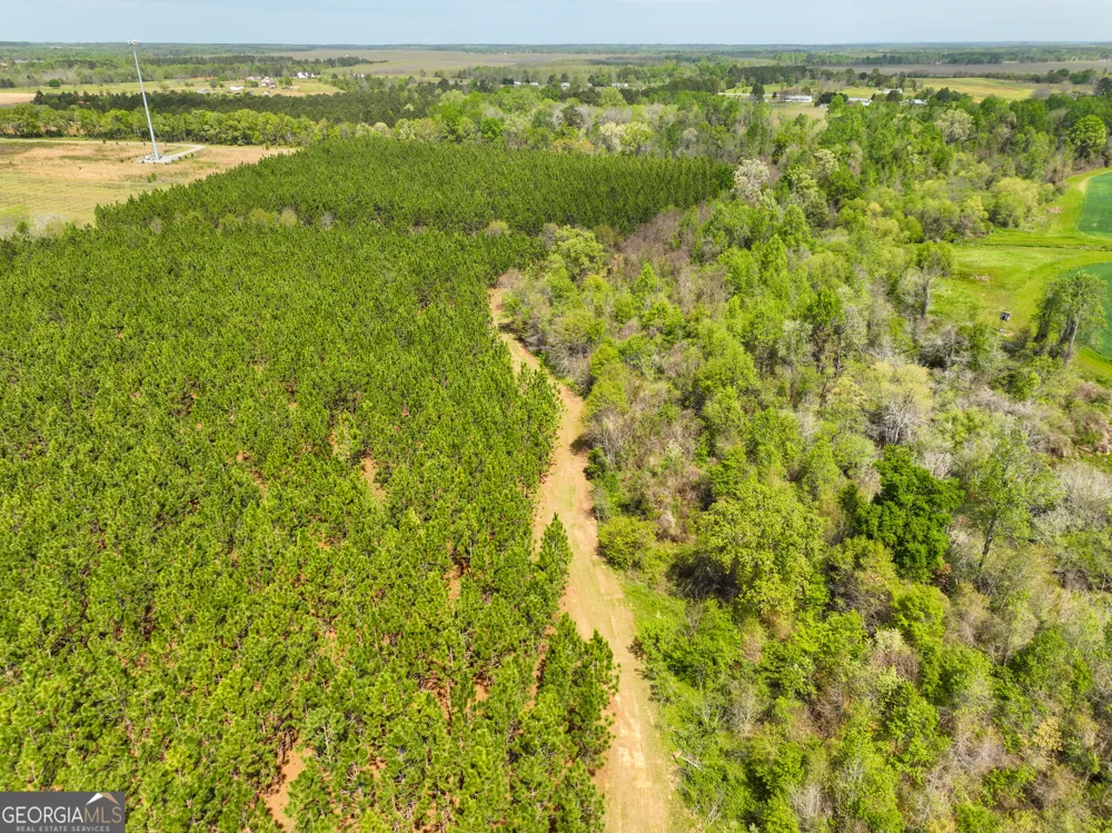0 Hwy 26 Hawkinsville, GA 31036