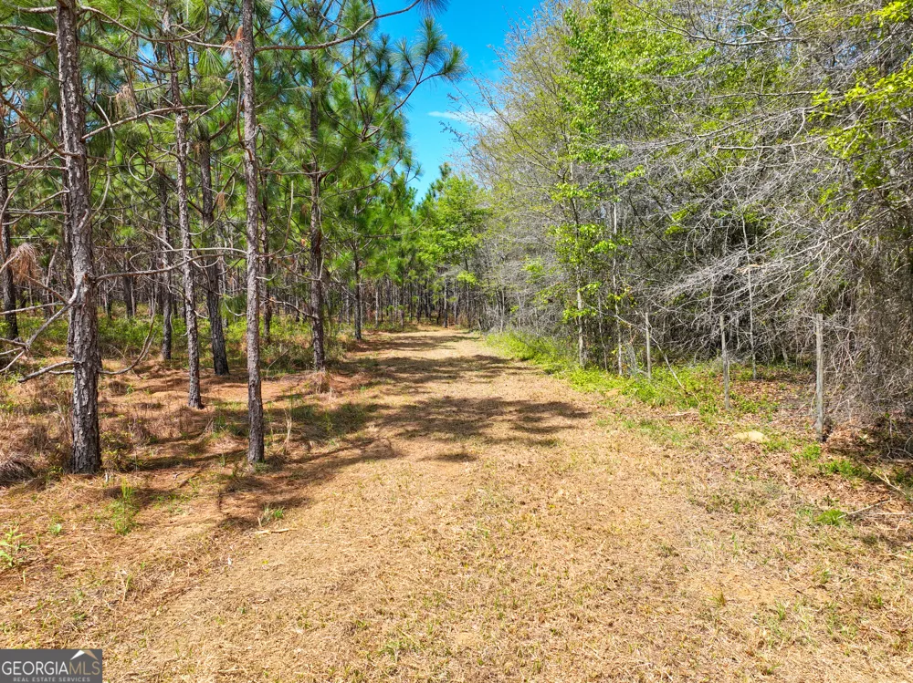 0 Hwy 26 Hawkinsville, GA 31036