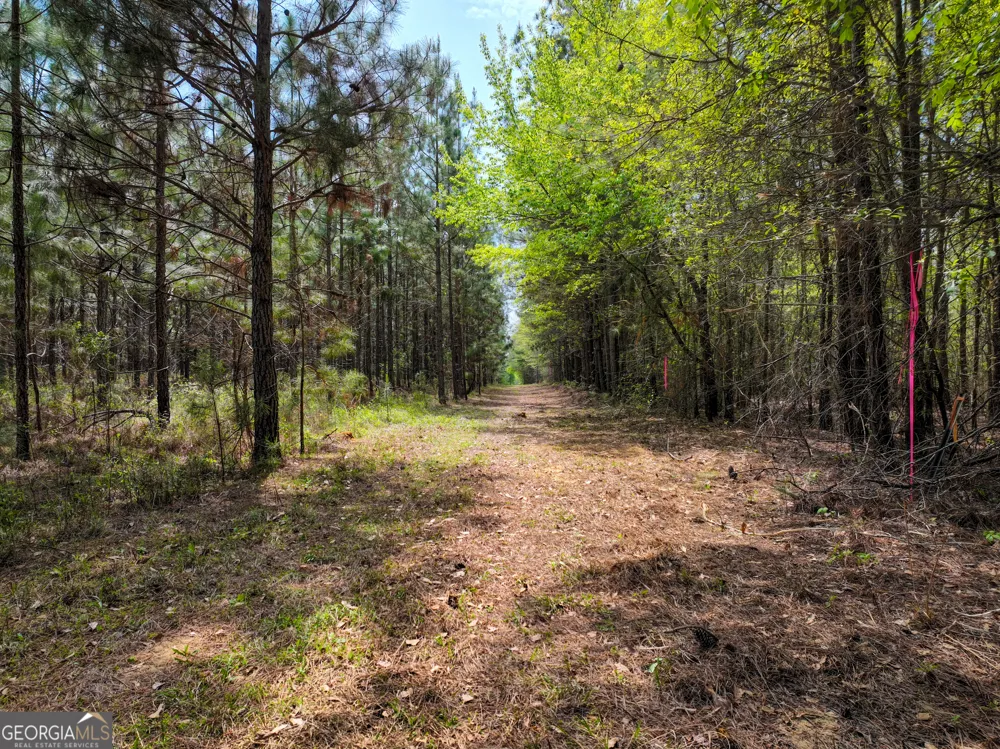 0 Hwy 26 Hawkinsville, GA 31036