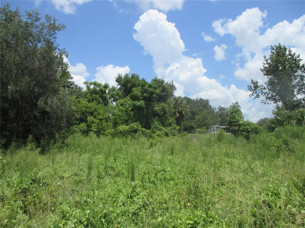 TBD SE 18TH STREET Silver Springs, FL 34488