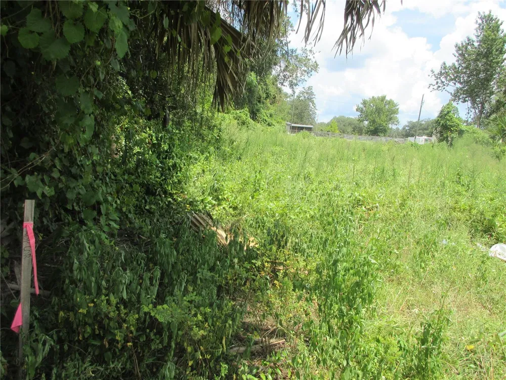 TBD SE 18TH STREET Silver Springs, FL 34488
