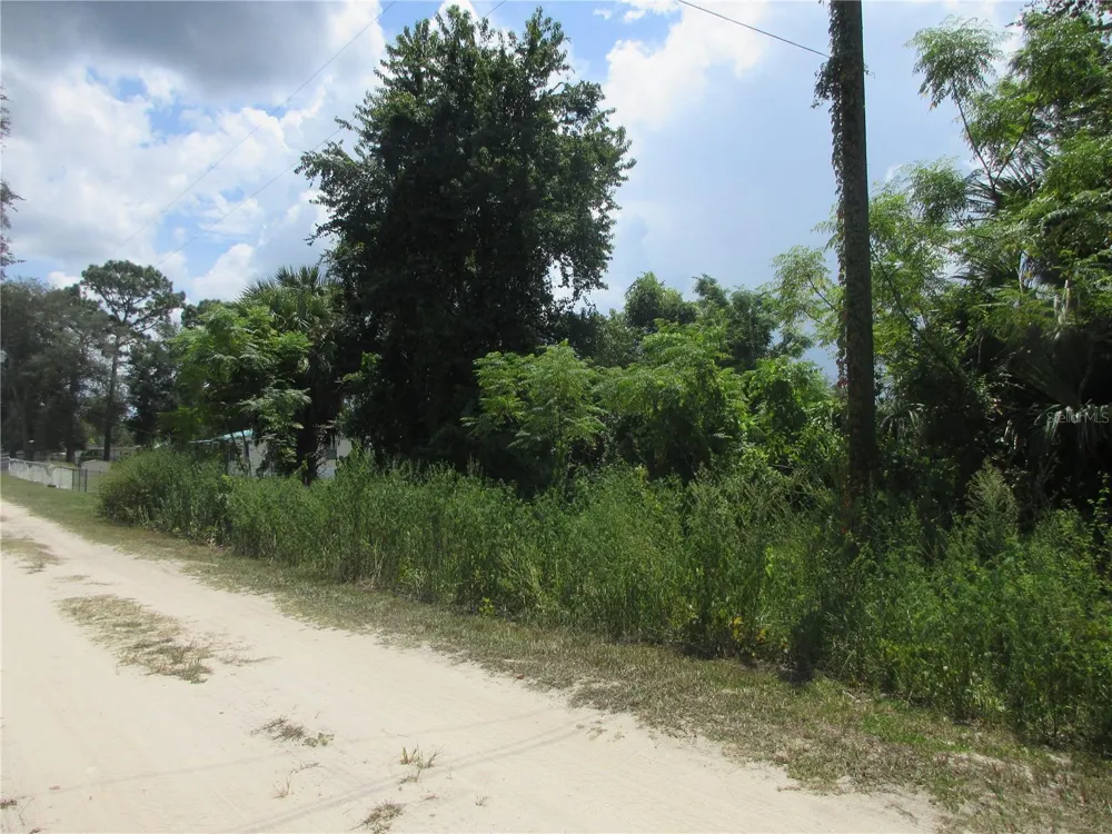 TBD SE 18TH STREET Silver Springs, FL 34488